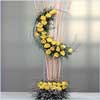Exotic Beauties - Click here to View more details about this Product